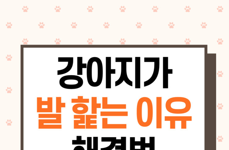 강아지 발 핥는 이유