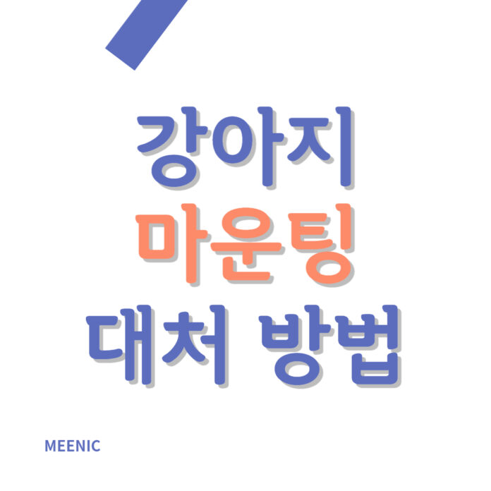 강아지 마운팅 이유와 대처 방법