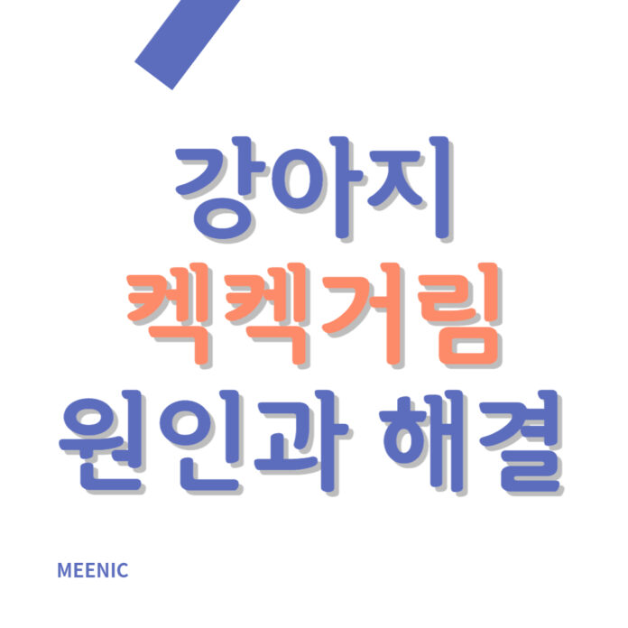 강아지 켁켁거림 원인과 해결방법