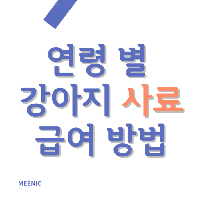 강아지 사료 급여 방법